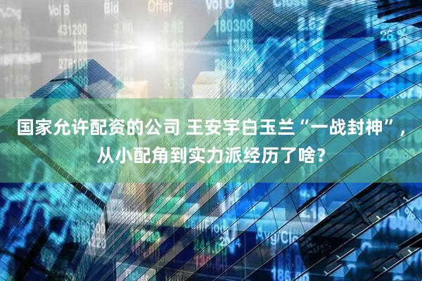 国家允许配资的公司 王安宇白玉兰“一战封神”，从小配角到实力派经历了啥？
