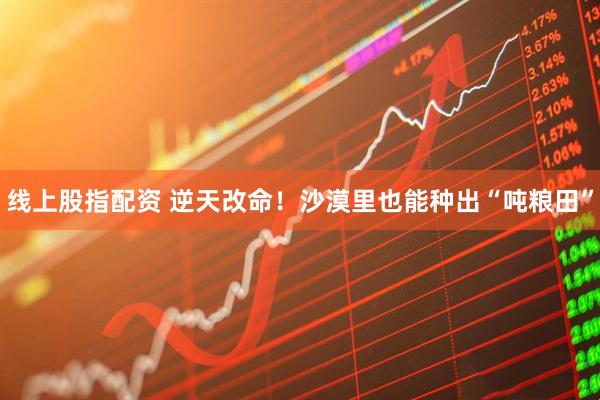 线上股指配资 逆天改命！沙漠里也能种出“吨粮田”