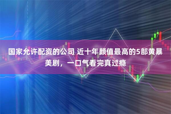 国家允许配资的公司 近十年颜值最高的5部黄暴美剧，一口气看完真过瘾