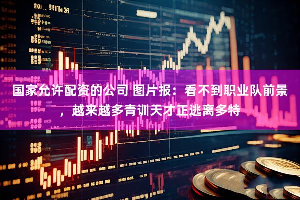 国家允许配资的公司 图片报：看不到职业队前景，越来越多青训天才正逃离多特